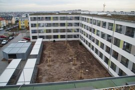 Ein Innenhof zwischen modernen Gebäuden, mit mehreren jungen Bäumen in Töpfen und einem sandigen Boden, der noch ungenutzt aussieht.